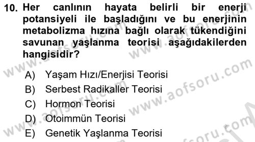 Temel Sağlık Ve Hastalık Bilgisi Dersi 2025 - 2026 Yılı Yaz Okulu Sınav Soruları 10. Soru