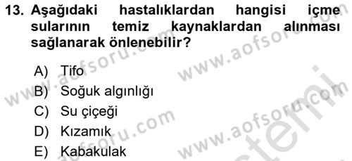 Temel Sağlık Ve Hastalık Bilgisi Dersi 2025 - 2026 Yılı Yaz Okulu Sınav Soruları 13. Soru