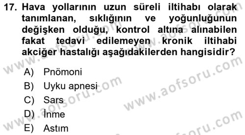 Temel Sağlık Ve Hastalık Bilgisi Dersi 2025 - 2026 Yılı Yaz Okulu Sınav Soruları 17. Soru