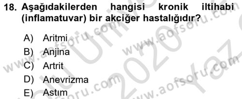 Hastalıklar Bilgisi Dersi 2020 - 2021 Yılı Yaz Okulu Sınav Soruları 18. Soru