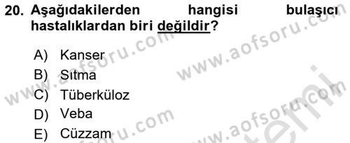 Hastalıklar Bilgisi Dersi 2020 - 2021 Yılı Yaz Okulu Sınav Soruları 20. Soru