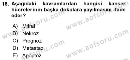 Hastalıklar Bilgisi Dersi 2021 - 2022 Yılı (Final) Dönem Sonu Sınav Soruları 16. Soru