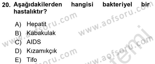Hastalıklar Bilgisi Dersi 2021 - 2022 Yılı (Final) Dönem Sonu Sınav Soruları 20. Soru