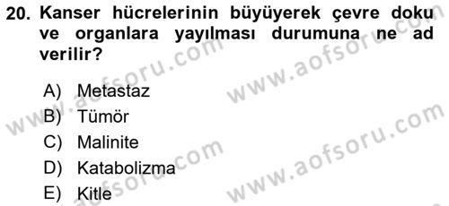 Sağlık Psikolojisi Dersi 2022 - 2023 Yılı Yaz Okulu Sınav Soruları 20. Soru