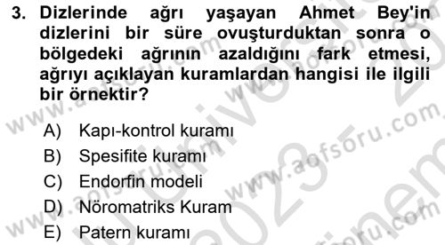 Sağlık Psikolojisi Dersi 2023 - 2024 Yılı (Final) Dönem Sonu Sınav Soruları 3. Soru
