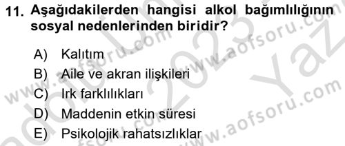Sağlık Psikolojisi Dersi 2023 - 2024 Yılı Yaz Okulu Sınav Soruları 11. Soru