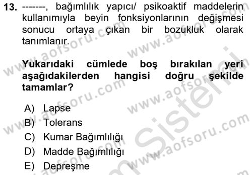 Sağlık Psikolojisi Dersi 2023 - 2024 Yılı Yaz Okulu Sınav Soruları 13. Soru