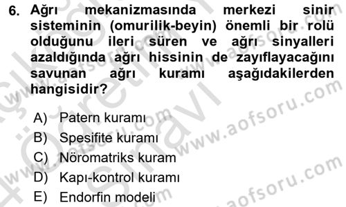 Sağlık Psikolojisi Dersi 2023 - 2024 Yılı Yaz Okulu Sınav Soruları 6. Soru