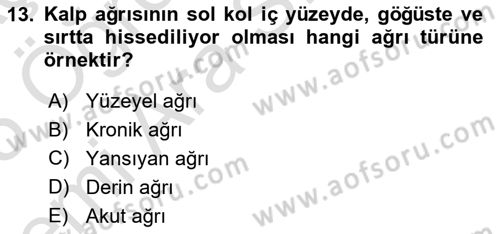 Sağlık Psikolojisi Dersi 2024 - 2025 Yılı (Vize) Ara Sınav Soruları 13. Soru