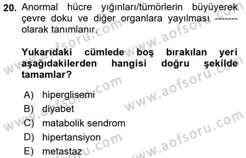 Sağlık Psikolojisi Dersi 2024 - 2025 Yılı (Final) Dönem Sonu Sınav Soruları 20. Soru