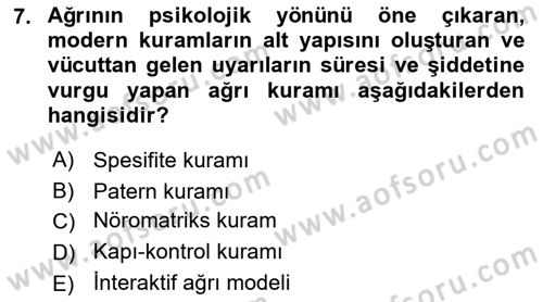 Sağlık Psikolojisi Dersi 2024 - 2025 Yılı Yaz Okulu Sınav Soruları 7. Soru