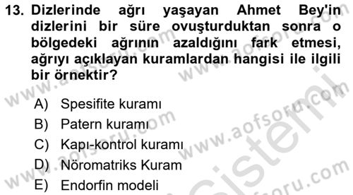 Sağlık Psikolojisi Dersi 2025 - 2026 Yılı (Vize) Ara Sınav Soruları 13. Soru