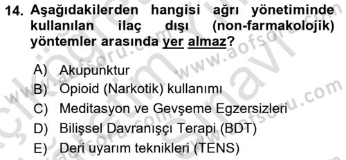 Sağlık Psikolojisi Dersi 2025 - 2026 Yılı (Vize) Ara Sınav Soruları 14. Soru