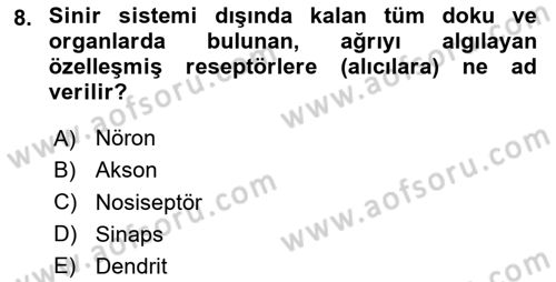 Sağlık Psikolojisi Dersi 2025 - 2026 Yılı Yaz Okulu Sınav Soruları 8. Soru