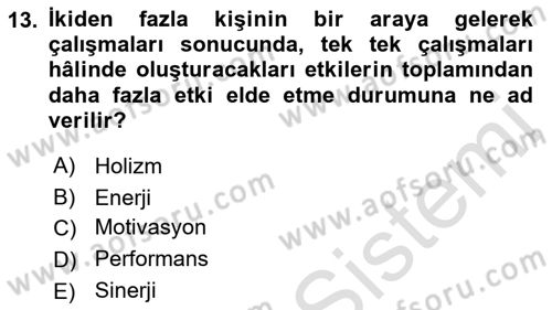 Sağlık İşletmelerinde Davranış Dersi 2021 - 2022 Yılı (Vize) Ara Sınav Soruları 13. Soru
