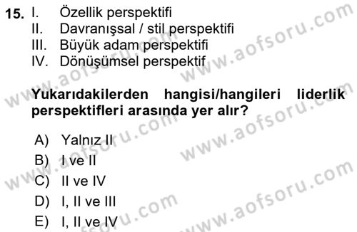 Sağlık İşletmelerinde Davranış Dersi 2021 - 2022 Yılı (Vize) Ara Sınav Soruları 15. Soru