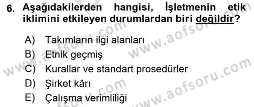 Sağlık İşletmelerinde Davranış Dersi 2021 - 2022 Yılı (Final) Dönem Sonu Sınav Soruları 6. Soru