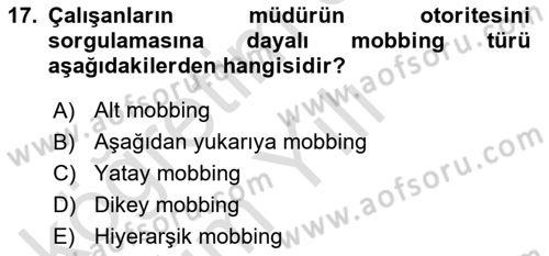 Sağlık İşletmelerinde Davranış Dersi 2021 - 2022 Yılı Yaz Okulu Sınav Soruları 17. Soru