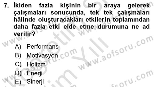 Sağlık İşletmelerinde Davranış Dersi 2021 - 2022 Yılı Yaz Okulu Sınavı 7. Soru