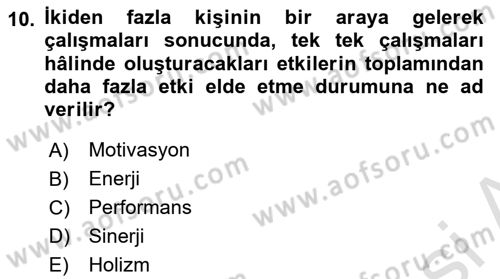 Sağlık İşletmelerinde Davranış Dersi 2022 - 2023 Yılı Yaz Okulu Sınav Soruları 10. Soru