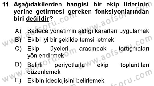 Sağlık İşletmelerinde Davranış Dersi 2023 - 2024 Yılı (Vize) Ara Sınav Soruları 11. Soru