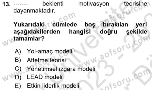 Sağlık İşletmelerinde Davranış Dersi 2023 - 2024 Yılı (Vize) Ara Sınav Soruları 13. Soru