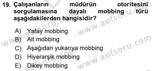 Sağlık İşletmelerinde Davranış Dersi 2023 - 2024 Yılı (Final) Dönem Sonu Sınav Soruları 19. Soru
