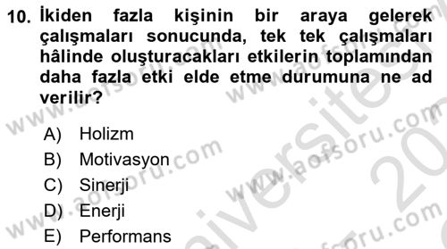 Sağlık İşletmelerinde Davranış Dersi 2023 - 2024 Yılı Yaz Okulu Sınav Soruları 10. Soru