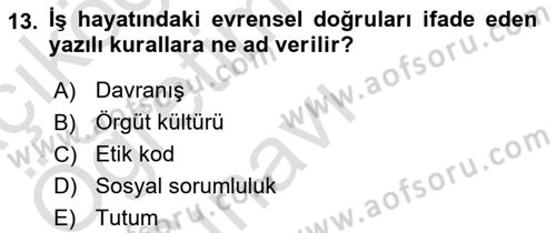 Sağlık İşletmelerinde Davranış Dersi 2023 - 2024 Yılı Yaz Okulu Sınav Soruları 13. Soru