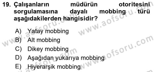 Sağlık İşletmelerinde Davranış Dersi 2023 - 2024 Yılı Yaz Okulu Sınav Soruları 19. Soru