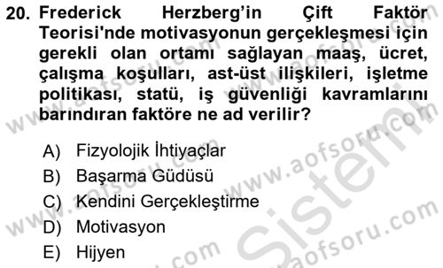 Sağlık İşletmelerinde Davranış Dersi 2023 - 2024 Yılı Yaz Okulu Sınav Soruları 20. Soru