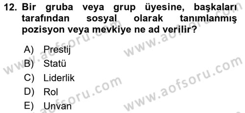 Sağlık İşletmelerinde Davranış Dersi 2024 - 2025 Yılı (Vize) Ara Sınav Soruları 12. Soru