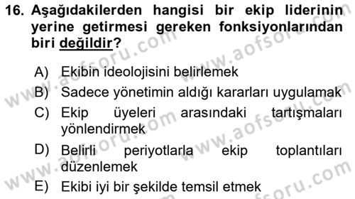 Sağlık İşletmelerinde Davranış Dersi 2024 - 2025 Yılı (Vize) Ara Sınav Soruları 16. Soru