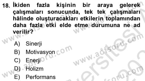 Sağlık İşletmelerinde Davranış Dersi 2024 - 2025 Yılı (Vize) Ara Sınav Soruları 18. Soru