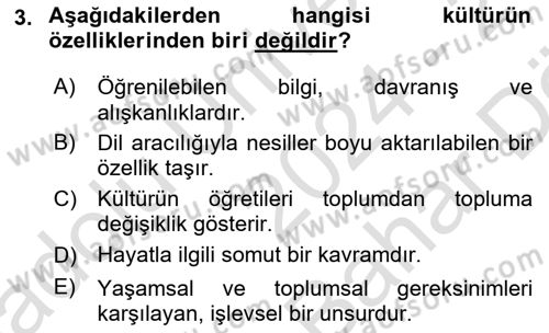 Sağlık İşletmelerinde Davranış Dersi 2024 - 2025 Yılı (Vize) Ara Sınav Soruları 3. Soru