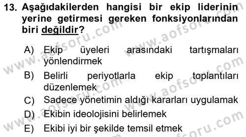Sağlık İşletmelerinde Davranış Dersi 2025 - 2026 Yılı (Vize) Ara Sınav Soruları 13. Soru