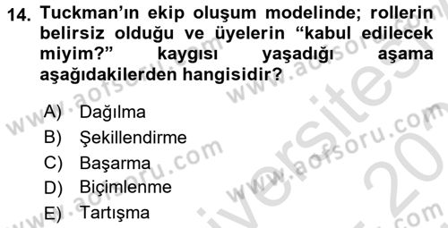 Sağlık İşletmelerinde Davranış Dersi 2025 - 2026 Yılı (Vize) Ara Sınav Soruları 14. Soru