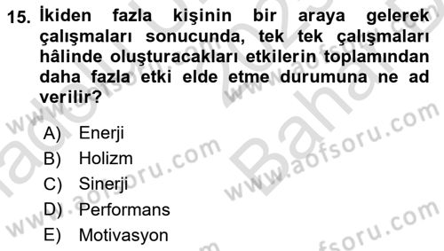 Sağlık İşletmelerinde Davranış Dersi 2025 - 2026 Yılı (Vize) Ara Sınav Soruları 15. Soru