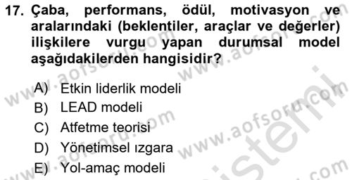Sağlık İşletmelerinde Davranış Dersi 2025 - 2026 Yılı (Vize) Ara Sınav Soruları 17. Soru