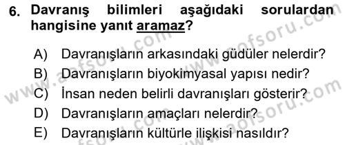 Sağlık İşletmelerinde Davranış Dersi 2025 - 2026 Yılı (Vize) Ara Sınav Soruları 6. Soru