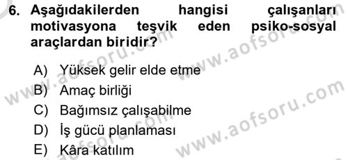 Sağlık İşletmelerinde Yönetim Dersi 2021 - 2022 Yılı Yaz Okulu Sınav Soruları 6. Soru