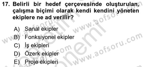 Sağlık İşletmelerinde Yönetim Dersi 2023 - 2024 Yılı (Final) Dönem Sonu Sınav Soruları 17. Soru