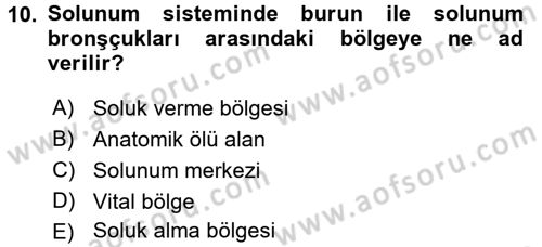 İnsan Beden Yapısı Ve Fizyolojisi Dersi 2016 - 2017 Yılı 3 Ders Sınav Soruları 10. Soru