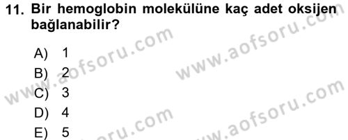 İnsan Beden Yapısı Ve Fizyolojisi Dersi 2016 - 2017 Yılı 3 Ders Sınav Soruları 11. Soru