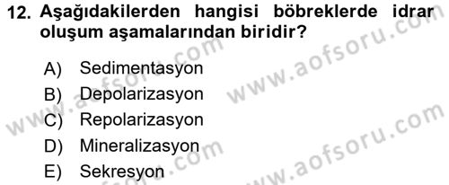 İnsan Beden Yapısı Ve Fizyolojisi Dersi 2016 - 2017 Yılı 3 Ders Sınav Soruları 12. Soru