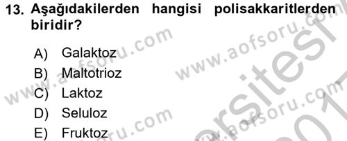 İnsan Beden Yapısı Ve Fizyolojisi Dersi 2016 - 2017 Yılı 3 Ders Sınav Soruları 13. Soru