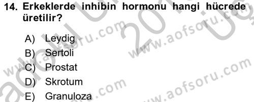 İnsan Beden Yapısı Ve Fizyolojisi Dersi 2016 - 2017 Yılı 3 Ders Sınav Soruları 14. Soru