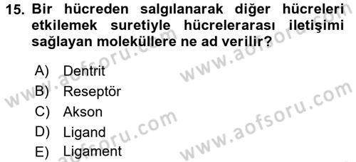İnsan Beden Yapısı Ve Fizyolojisi Dersi 2016 - 2017 Yılı 3 Ders Sınav Soruları 15. Soru