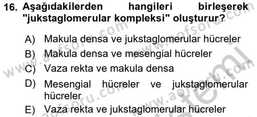 İnsan Beden Yapısı Ve Fizyolojisi Dersi 2016 - 2017 Yılı 3 Ders Sınav Soruları 16. Soru