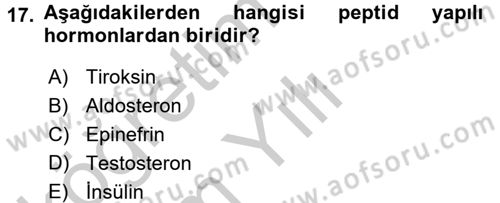 İnsan Beden Yapısı Ve Fizyolojisi Dersi 2016 - 2017 Yılı 3 Ders Sınav Soruları 17. Soru